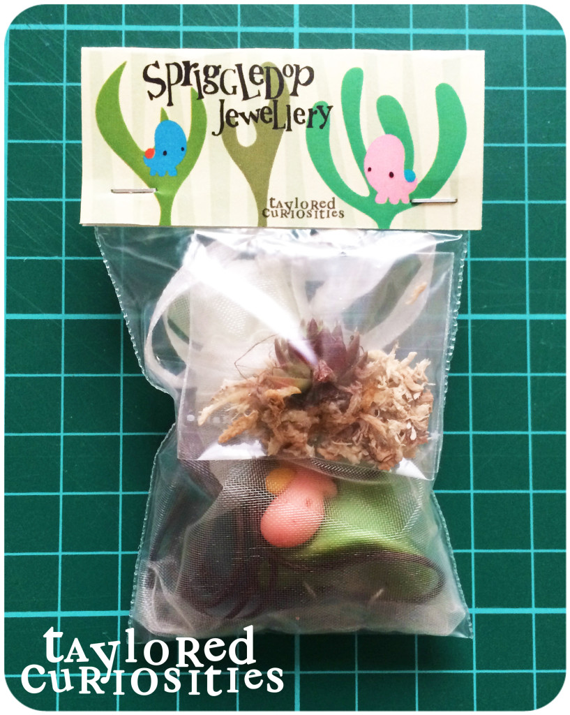 spriggledop packaging planter succulent jewellery snail okemordyn taylored curiosities designer toy