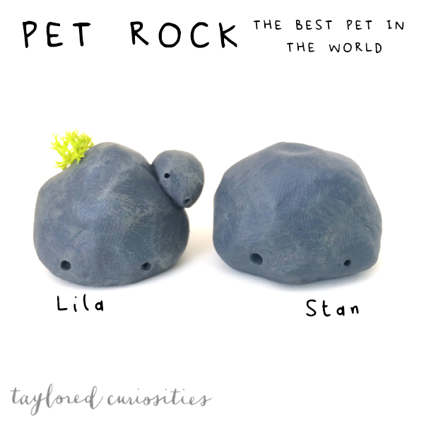 taylored curiosities pet rock handmade uk sculpt paint designer toy art doll art toy toy family original lila stan moss baby