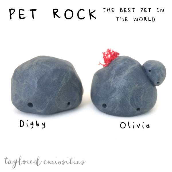 taylored curiosities pet rock handmade uk sculpt paint designer toy art doll art toy toy family original olivia digby moss