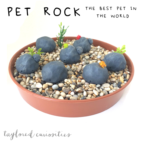 taylored curiosities pet rock handmade uk sculpt paint designer toy art doll art toy toy family original