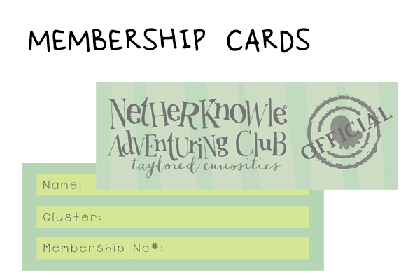 MEM CARDS SET