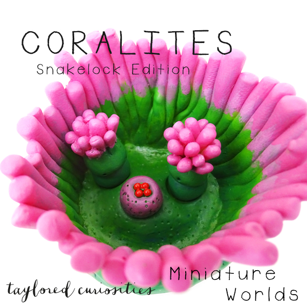 coralites taylored curiosities designer toy art toy artdoll dollhouse miniature snakelock anemone pink green sea marine eggs handmade copyright 6