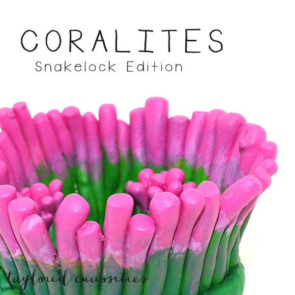coralites taylored curiosities designer toy art toy artdoll dollhouse miniature snakelock anemone pink green sea marine eggs handmade copyright sneak2