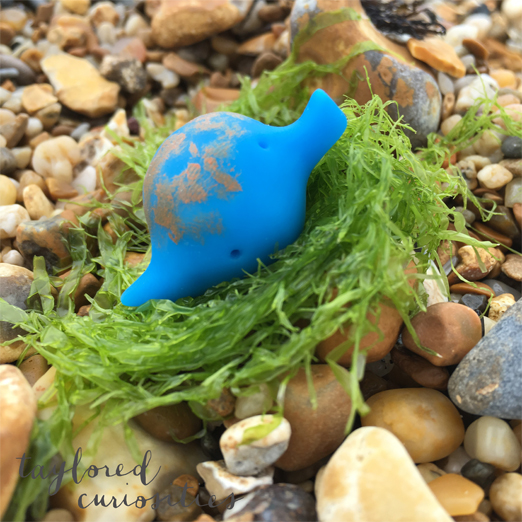taylored curiosities the feelings fretfulnag beach jellyfish art cute talisman seaweed