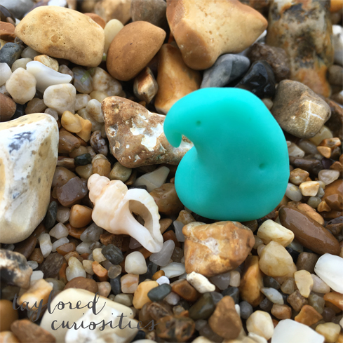 taylored curiosities the feelings fretfulnag beach jellyfish art cute talisman shell